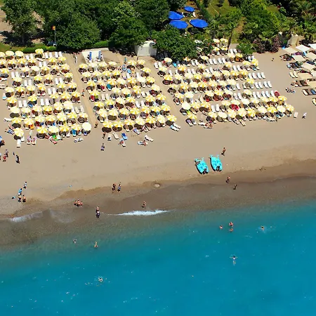 Delphin 3* Сіде