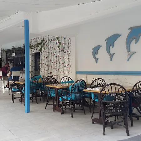 海豚公寓酒店 3* 锡德