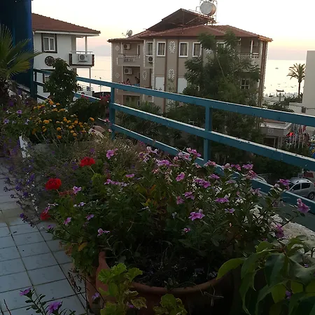 Delphin סייד