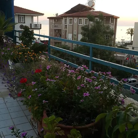 海豚公寓酒店 锡德