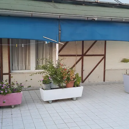 公寓式酒店 海豚公寓酒店